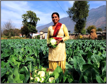 An Organic Future: India Has Over 30% Of World’s Organic Producers! post thumbnail